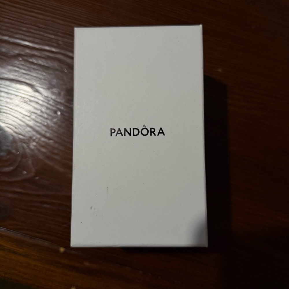 Pandora 2020 Limited Edition Ornament & Charm Set - Picture 4 of 4